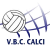 logo Dream Volley Blu