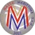 logo Dream Volley Pisa Blu
